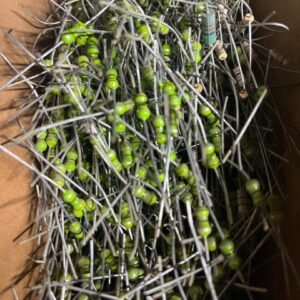 18 microhenry axial lead choke